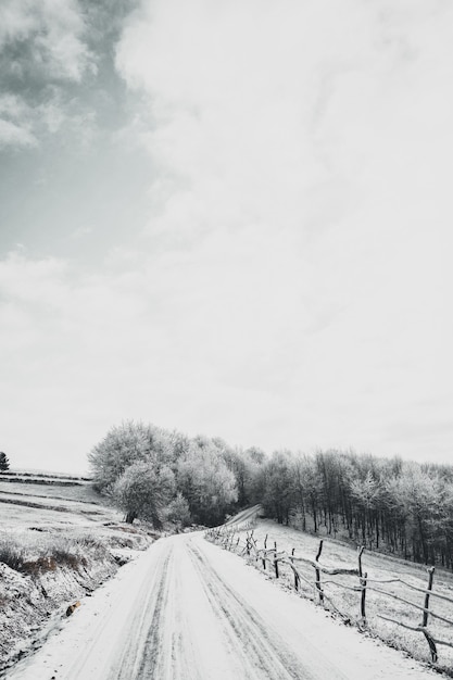 Verticale hoge hoek die van een sneeuwweg is ontsproten die naar het bos leidt