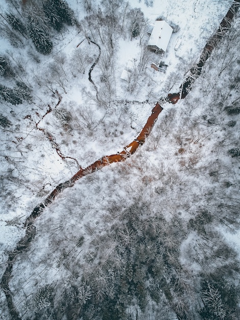 Verticale hoge hoekopname van een met sneeuw bedekt landschap met veel bladerloze bomen