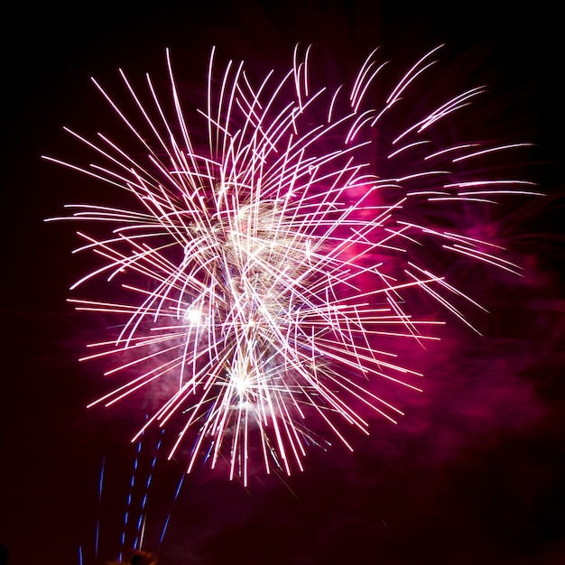 Verticale mooie opname van kleurrijk vuurwerk onder de nachtelijke hemel