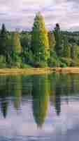 Gratis foto verticale opname van bomen die reflecteren op een water