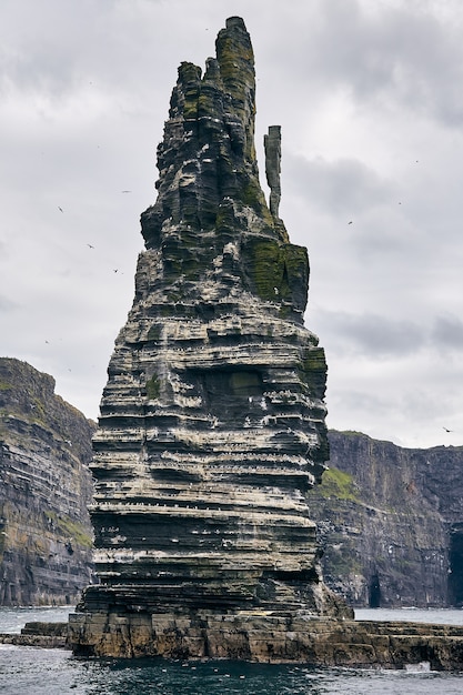 Verticale opname van de Cliffs of Moher met zeemeeuwen erop onder een bewolkte hemel in Ierland