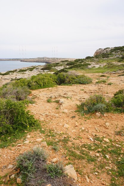 Verticale opname van de oever van het meer vallende grond en gras onder de blauwe hemel