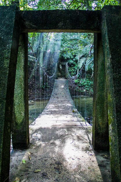 Verticale opname van een brug in een tropische jungle