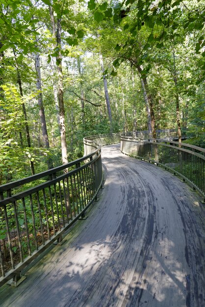 Verticale opname van een brug in Garvan Woodland Gardens in Arkansas, VS