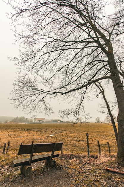 Gratis foto verticale opname van een houten bankje in een bospark met een sombere lucht op de achtergrond