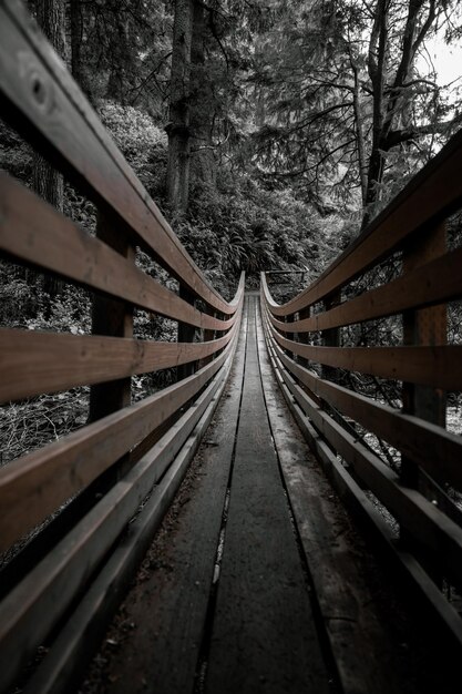 Verticale opname van een houten brug in een bos bedekt met bomen bij daglicht