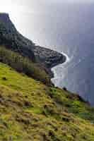 Gratis foto verticale opname van een kust in het eiland madeira, portugal
