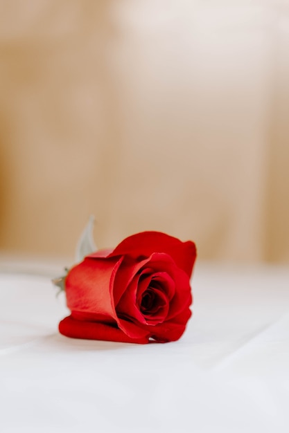 Verticale opname van een rode roos op een witte tafel