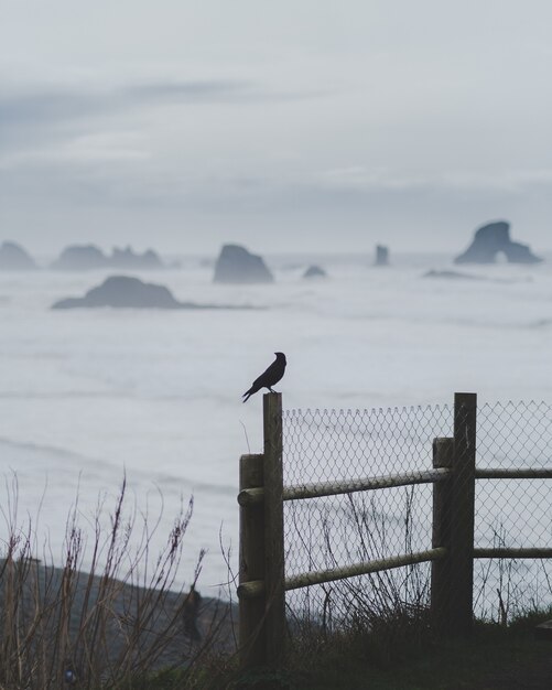 Verticale opname van een vogel die zich op een hek met een wazige zee bevindt
