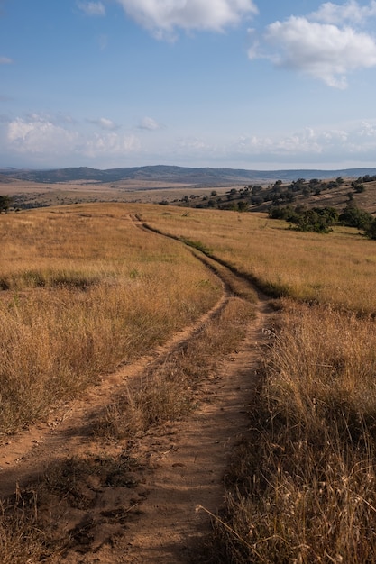 Verticale opname van een weg midden in een veld onder de blauwe lucht in Kenia, Nairobi, Samburu