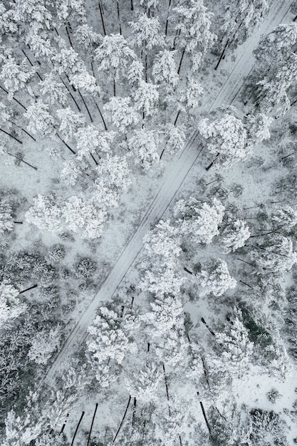 Verticale opname van een weg omringd door prachtige besneeuwde bossen