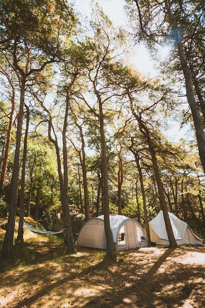 Verticale opname van enkele tenten in het midden van een bos vastgelegd in Madeira, Portugal