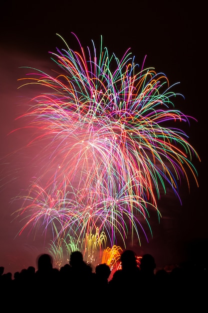 Verticale opname van prachtig kleurrijk vuurwerk onder de donkere nachtelijke hemel