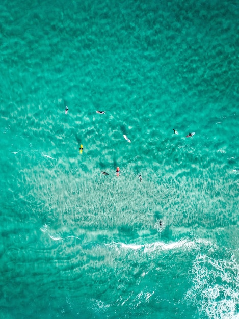 Verticale overhead shot surfers met surfplanken op een helder blauwe zee