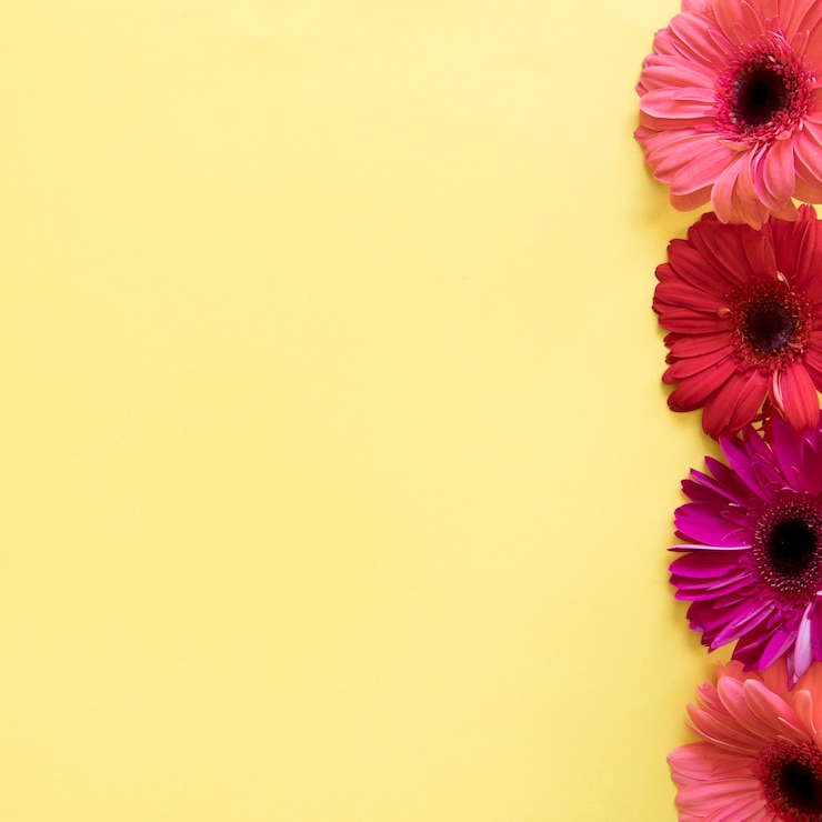 Gratis Foto vier bloemen aan de rechterkant