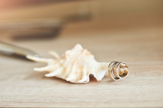 Gratis foto viering valentijnsdag op strand, ringen op schelp