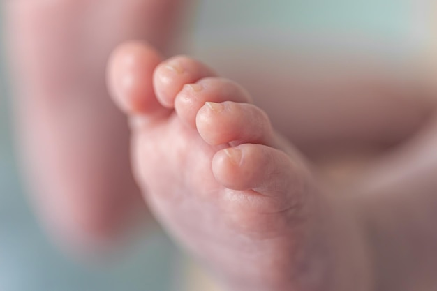 Gratis foto vingers van een pasgeboren baby macro-opname