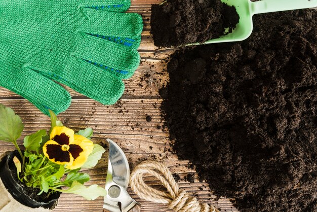 Viooltje bloem plant pot; tuingereedschap en handschoenen met vruchtbare grond op houten bureau