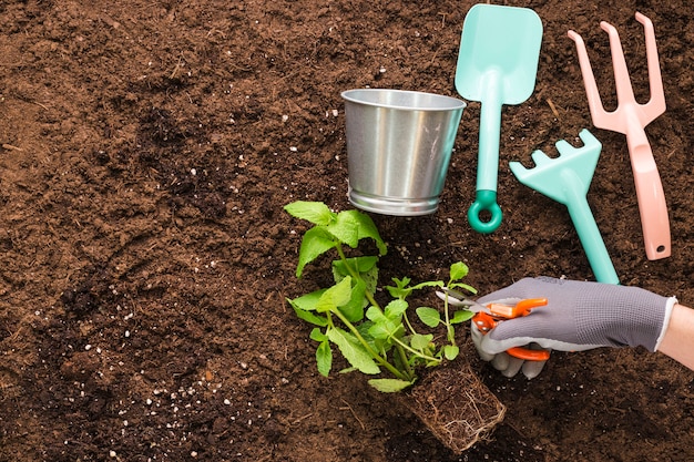 Vlak leg van installatie en tuinhulpmiddelen met copyspace