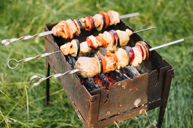 Vlees op barbecuegrill in aard