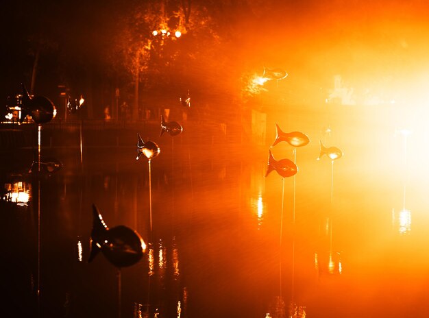Vliegende vissen in het park van moskou bij lichtshow achtergrond hd