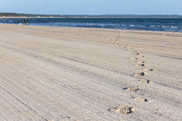 Gratis foto voetafdrukken in het zand op de natuurlijke achtergrond van de kust