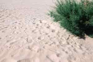 Gratis foto voetafdrukken op zand