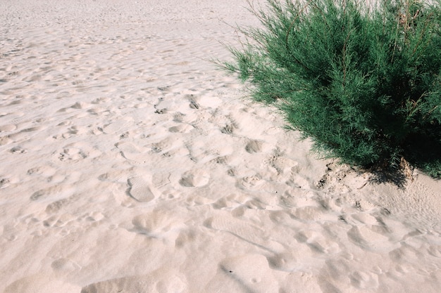 Voetafdrukken op zand