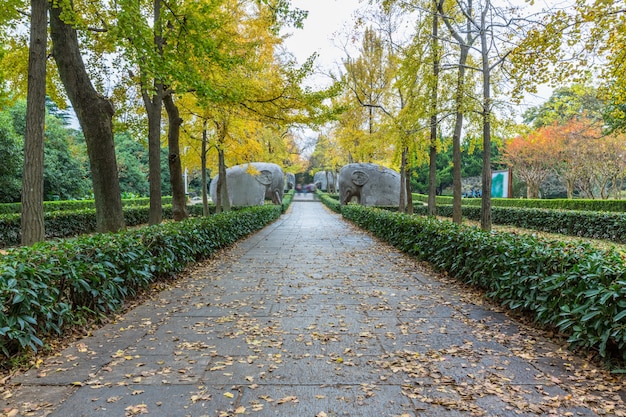 Voetpad Met Standbeelden In Ming Xiaoling Mausoleum