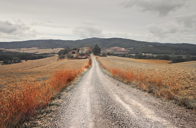 Gratis foto voetpad op het platteland, toscane, italië