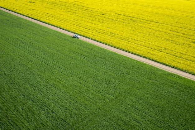 Vogelperspectief van een groot veld met een smalle weg in het midden tijdens een zonnige dag