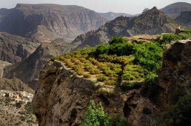 Vogelperspectief van enorme en pittoreske bergen en kliffen die gedeeltelijk bedekt zijn met groene bomen