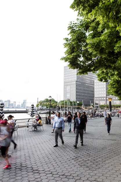 Volkstellingsinformatie in een stadssamenstelling