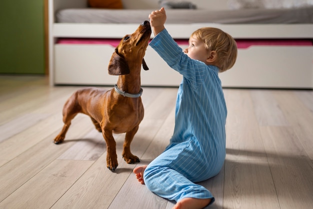 Volledig geschoten jongen die met hond speelt