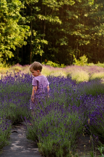 Gratis foto volledig geschoten schattig kind in lavendelveld