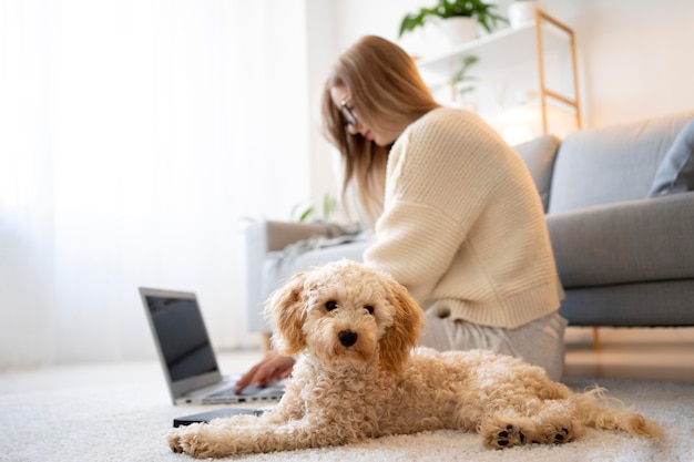 Gratis foto volledig geschoten vrouw en hond op de vloer