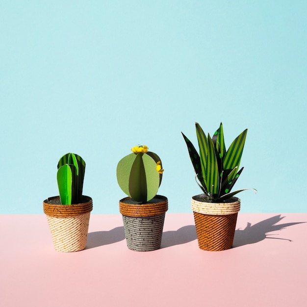 Vooraanzicht arrangement van cactussen met kopie ruimte