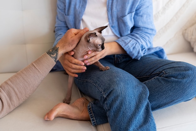 Vooraanzicht hoger paar met kat thuis