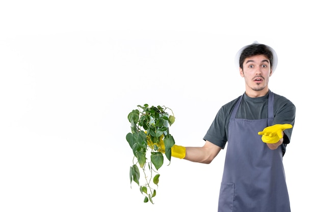 Vooraanzicht jonge mannelijke tuinman bedrijf plant op witte achtergrond tuin boom grond groen baan bloemen gras kleur tuinman