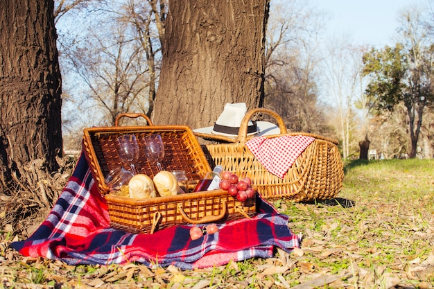 Gratis foto vooraanzicht picknickmanden vol met goodies