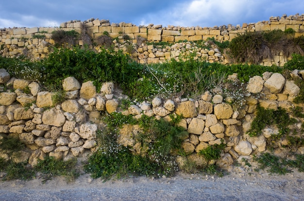 Gratis foto vooraanzicht shot van een korte stenen muur bedekt met planten op een zonnige dag