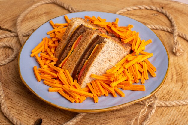 Vooraanzicht smakelijke toastsandwiches met kaasham en frietjes in plaat met touwen op beige