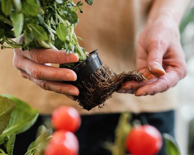 Vooraanzicht van de plantpot van de vrouwenholding met uitwendige wortels