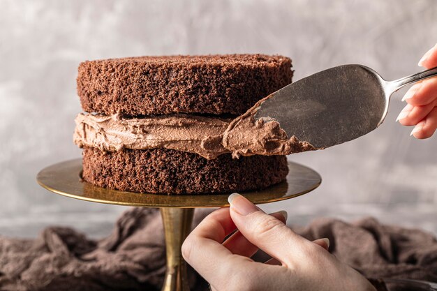 Vooraanzicht van het heerlijke concept van de chocoladetaart