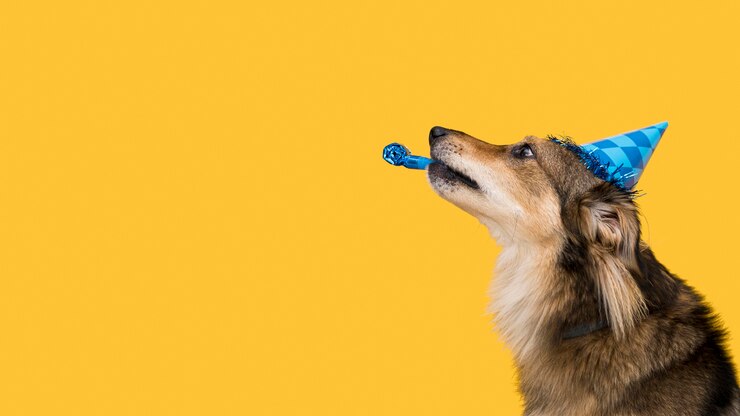 Gratis Foto vooraanzicht van mooie hond met exemplaarruimte