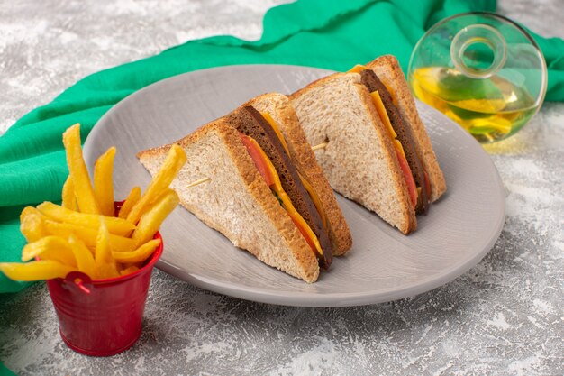 Vooraanzicht van smakelijke toast sandwiches met kaas ham in plaat frietjes en olie