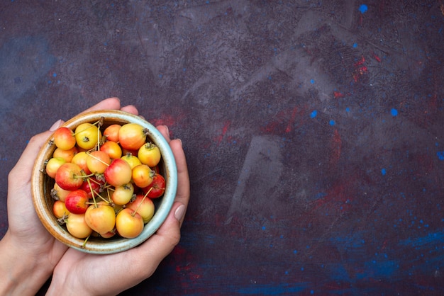 Vooraanzicht van vers fruit pruimen binnen plaat houden door vrouwtje op het donkere oppervlak