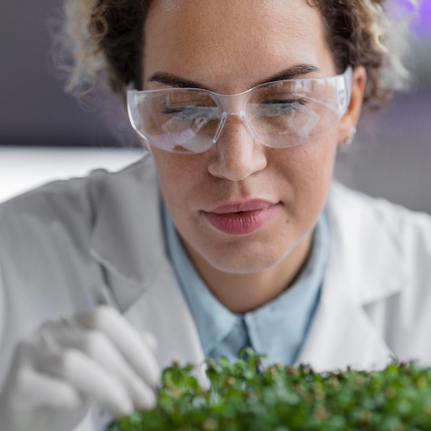 Gratis foto vooraanzicht van vrouwelijke onderzoeker in het laboratorium met veiligheidsbril en plant