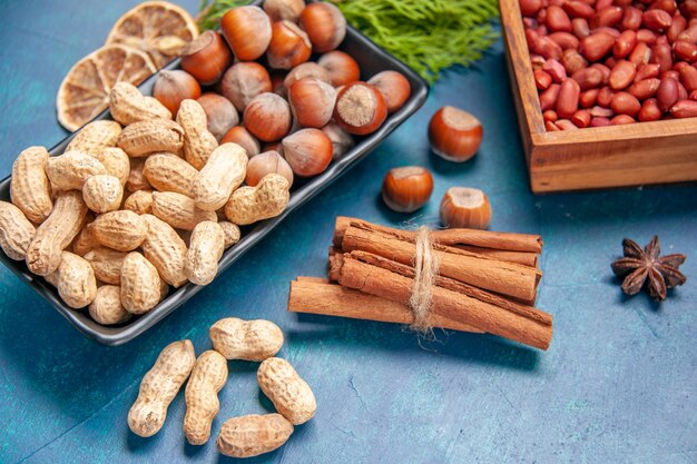 Vooraanzicht verse noten kaneel hazelnoten en pinda's binnen plaat op blauwe walnoot kleur snack cips foto plant boomnoot