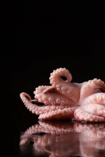 Gratis foto vooraanzicht verse octopus op tafel